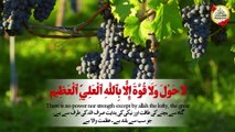 La Hawala Wala Quwwata Illa Billahil Aliyyil Azim 100 times | Hasbi Allah #wazifa #zikr #dua