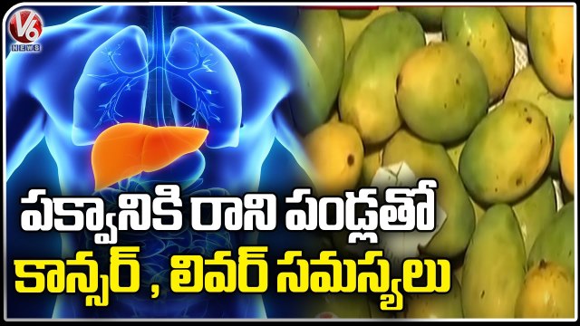 Health Issues Due To Artificially Ripened Mangoes _ Calcium carbide Mangoes | V6 News