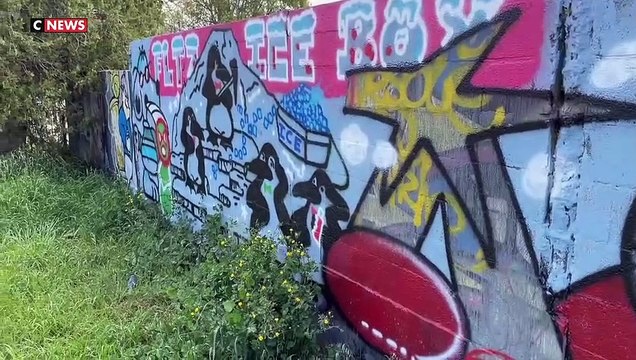 Une fresque murale réalisée à Avignon et représentant Emmanuel Macron en Adolf Hitler, le nombre 49.3 inscrit en guise de moustache, a été effacée - Regardez