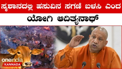 ಗೋವುಗಳ ರಕ್ಷಣೆಗೆ ಹೊಸ ಆದೇಶ ನೀಡಿದ ಯೋಗಿ ಆದಿತ್ಯನಾಥ್