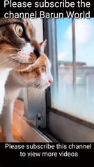 You have never seen this pet