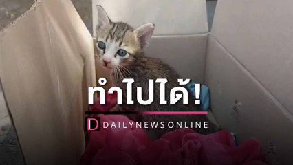 ลุงสุดงงสาวฝากแมวใส่กล่องไปให้คนรู้จัก กลับไม่มีใครรับ | HOTSHOT เดลินิวส์ 05/04/66