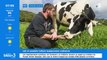 À Saint-Victor, le bon lait nature et transformé des vaches laitières de la Ferme de Réat