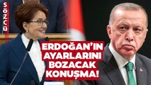 Meral Akşener'den Erdoğan'ı Çıldırtacak Sözler! 'Bir Aslan Miyav Dedi Minik Fare Kükredi'
