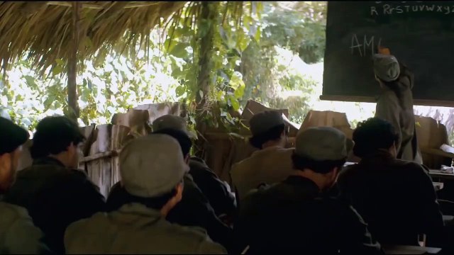 Who was he_ A Hero or Zero_ Che Guevara