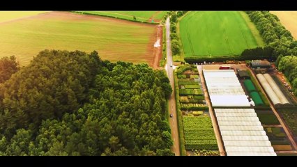 Drone to Home's Phil James explains how the charity helps find missing dogs