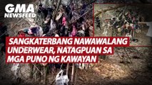 Sangkaterbang nawawalang underwear, natagpuan sa mga puno ng kawayan | GMA News Feed