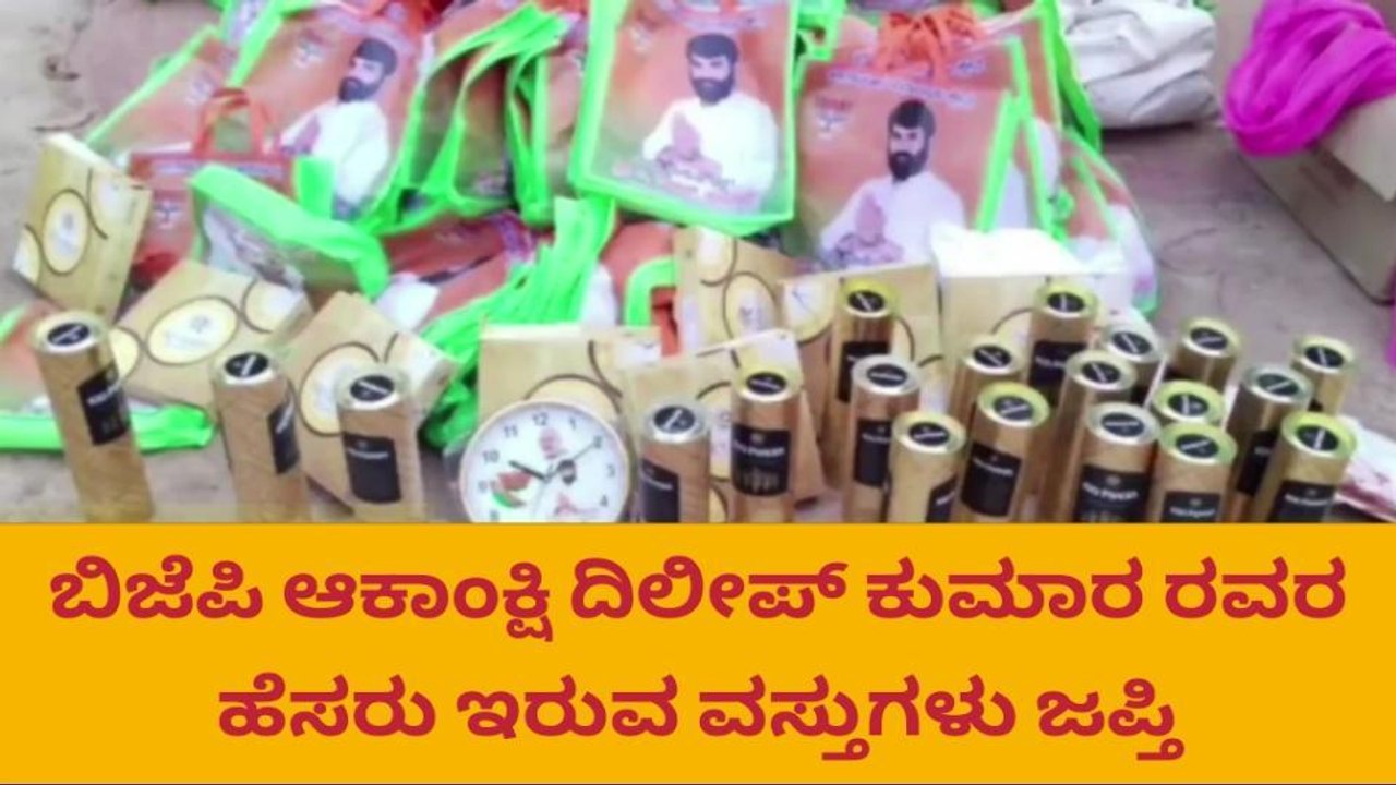 ಚುನಾವಣಾ ಅಕ್ರಮ : 7 ಲಕ್ಷ ರೂ. ಮೌಲ್ಯದ ವಿವಿಧ ವಸ್ತು ವಶ