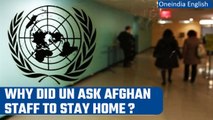UN Afghan staff instructed to stay home as Taliban indicates possible UN female ban | Oneindia News