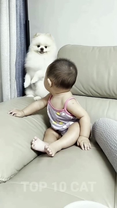 #shorts  Cute Dog and baby