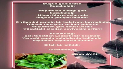 Kuzukulağı Seslendiren Klip Aynur AVCI