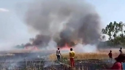 अमेठी: शार्ट सर्किट से गेंहू की फसल में लगी आग, कई एकड़ फसल जल कर हुए खाक