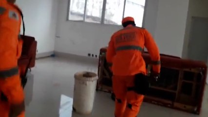 Que medo! Bombeiros resgatam jiboia de um metro e meio debaixo de sofá