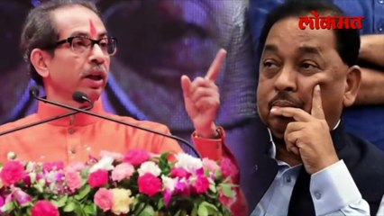 ठाकरेंची कोणकोणती प्रकरणं काढणार? राणेंनी स्पष्टच सांगितलं...