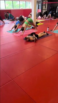 Séance de yoga pour chien vraiment très efficace