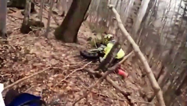 Ces motards vont avoir une mauvaise surprise en pleine forêt