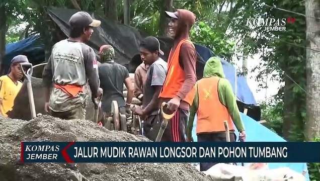Jalur Mudik di Gunung Gumitir Jember Rawan Longsor dan Pohon Tumbang