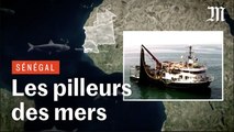 Enquête sur le pillage des eaux ouest-africaines