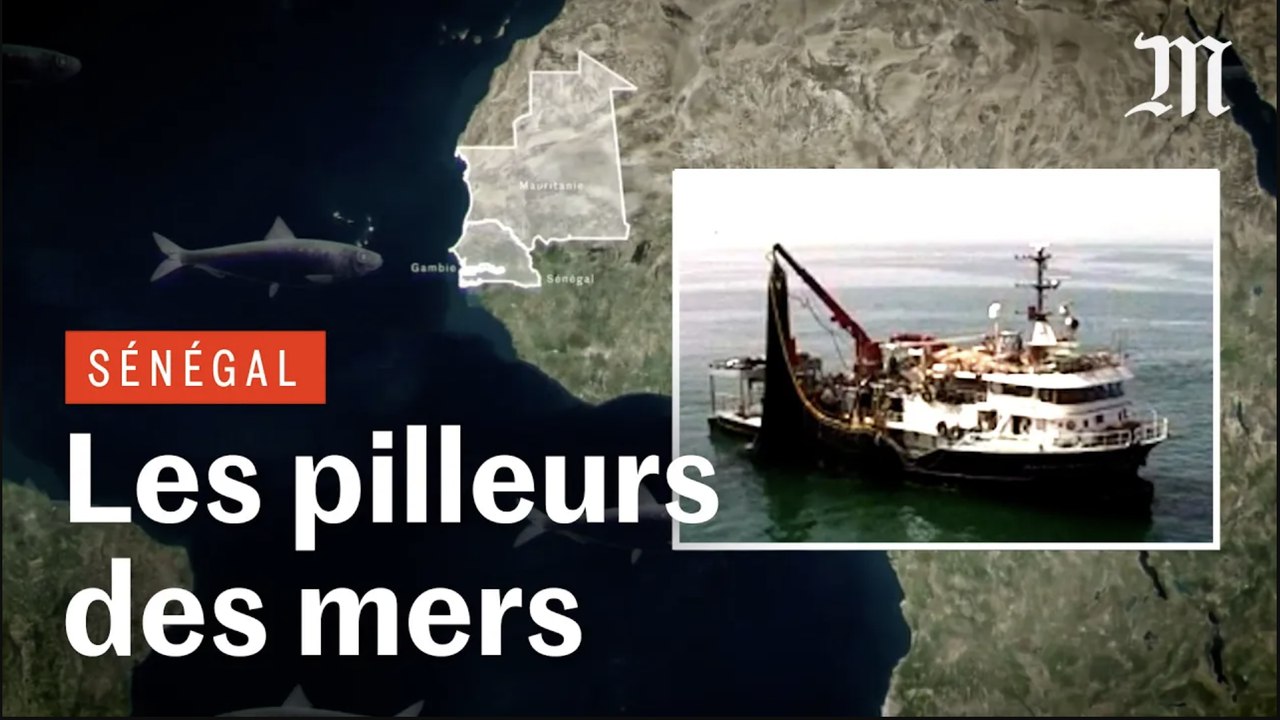 Enquête sur le pillage des eaux ouest-africaines