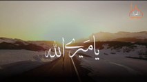 Beautiful Islamic status _ new Nazam status _ new islamic status _ Nazam status .