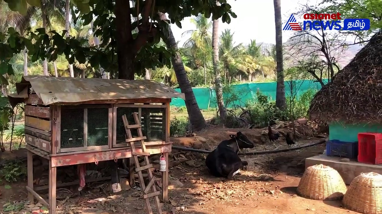 Viral : சேலத்தில் ஷாக் கொடுத்த மின் கட்டணம்! எதுவும் இல்லாத குடிசை வீட்டுக்கு ரூ.28,880/- பில்!