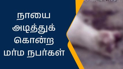 திருவள்ளூர்: நாயை அடித்தே கொன்ற மர்ம நபர்கள் - பகீர் வீடியோ!