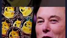 Dogecoin jumps as Musk’s Twitter flips logo to Shiba Inu dog