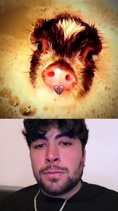 Piggy Bombastic_Full-HD