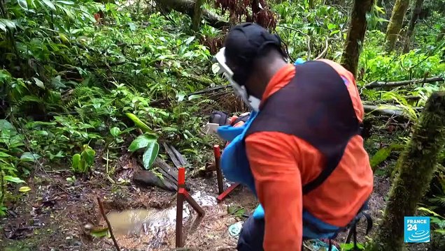 Cerca de 900 municipios colombianos se encuentran libres de minas antipersonas