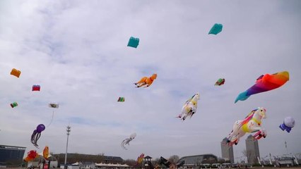 Çin'in Tianjin Kentinde Uçurtma Festivali Başladı