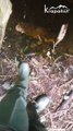 Courte visite de l'intérieur du blockhaus de Staffelfelden, les pieds dans l'eau