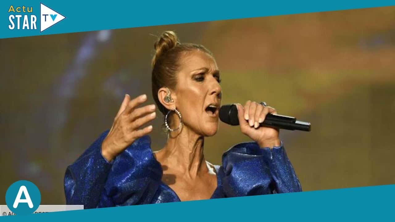 Céline Dion, Lara Fabian, Brad Pitt… Combien valent leurs villas ? Toutes les images !