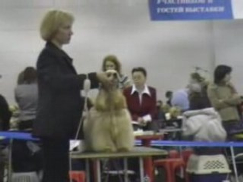 Dog Show EURASIA-2 24.02.2008  Moscow part 12
