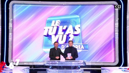 Le "Tu l'as vu ?" d'Andréa Bruche : les darkas du congrès de la CGT !