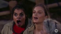 I'm a Celebrity Get Me Out of Here AU Season 9 Episode 3