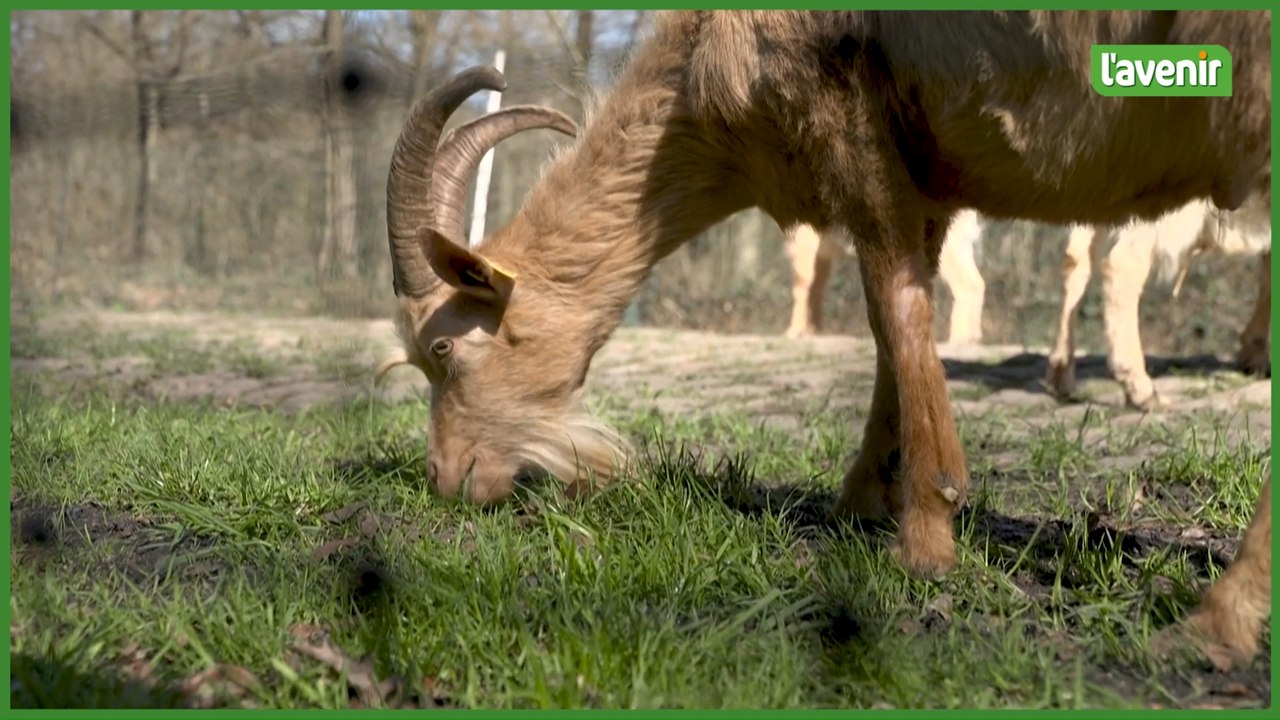 Cyclisme: les pavés se refont une beauté pour le 120e Paris-Roubaix