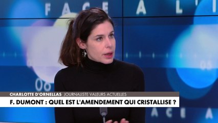 Charlotte d'Ornellas : «Médiatiquement il y a des menaces qui font plus de bruit que d'autres»