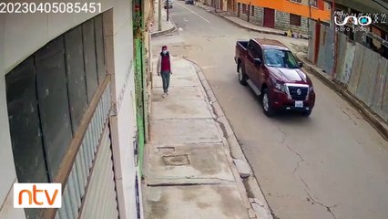 Cae un perro de un segundo piso