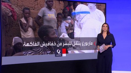 التاسعة هذا المساء | رعب من تفشي فيروس ماربورغ القاتل بشكل سريع في تنزانيا وغينيا الاستوائية