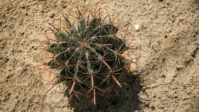 Llamado urgente de expertos de Naciones Unidas sobre el incremento de 1.1 grados Celsius en la temperatura global.