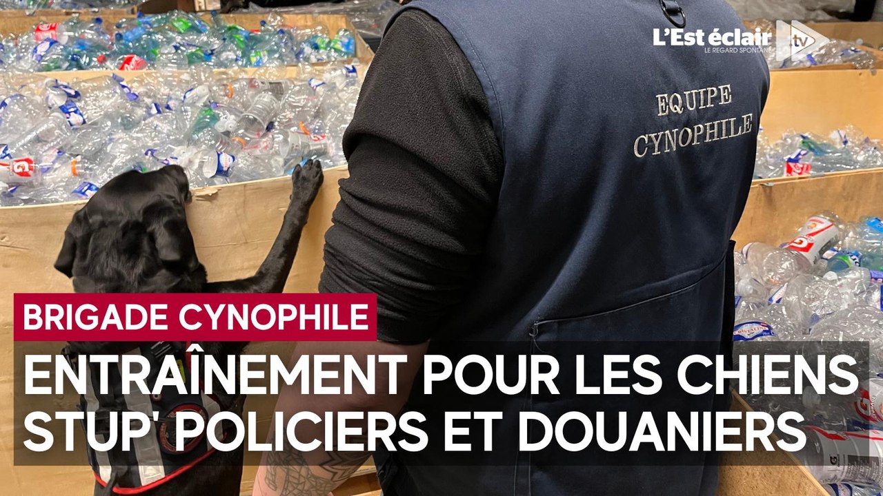 L'entraînement des chiens stup' policiers et douaniers
