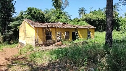 JÁ FOI UMA BELA CASA VERDE E AMARELA