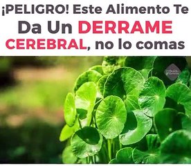 Peligro! Este Alimento Te Da Un Derrame Cerebral, No Lo Comas