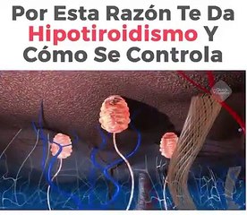 Por Esta Razon Te Da Hipotiroidismo y Como Se Controla
