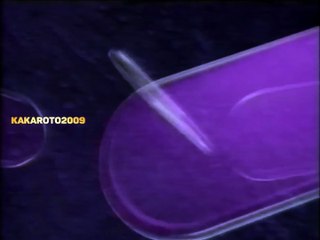 ID Canal 13 (Buenos Aires) [1993] [Normal, Rápido, Lento y Reversa]