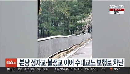 분당 정자교·불정교 이어 수내교도 보행로 차단