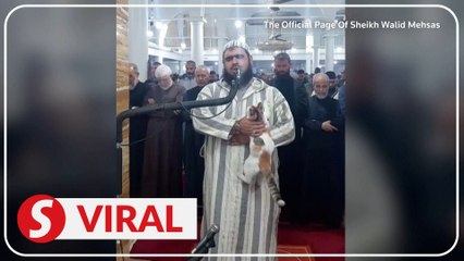 Cat climbs onto Imam leading nightly Ramadan prayers
