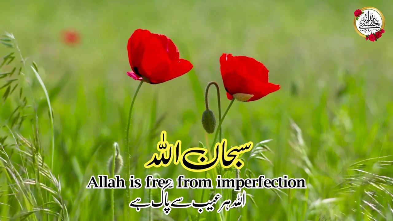 Subhan Allah 300 Times I Subhan Allah I Subhanallah Wazifa I Subhanallah Zikr | Hasbi Allah #wazifa