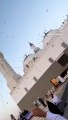Masjid e Quba #Medina #Intagram Reels
