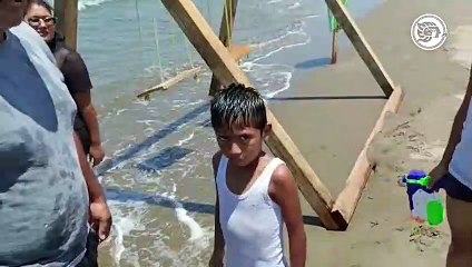 ¡Aguas con las medusas!; piden a bañistas no tocarlas y tener cuidado